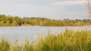 Güzel altın gün batımı tarlaların ve nehrin üzerinde 