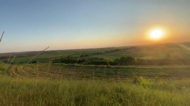 A round orange sky over the green fields of Ukraine