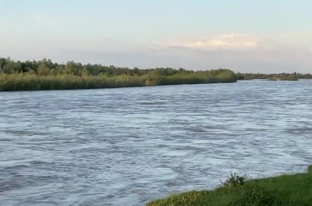 Beautiful River Prut Countriside — 图库视频影像