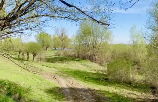 Spring Came Countryside Made Everything Green — Stockvideo