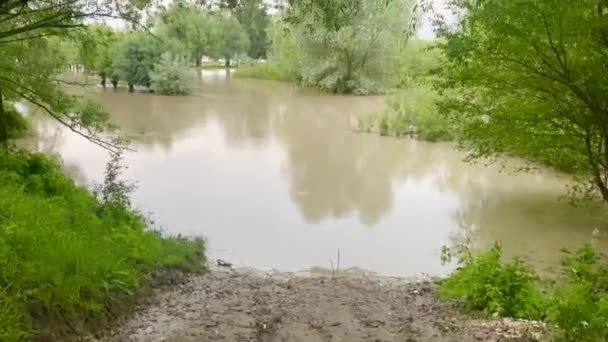 Beautiful River Prut Countriside — Vídeos de Stock
