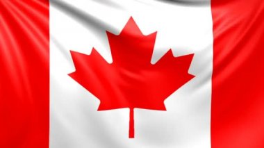 Kanada bayrağı. Sorunsuz ilmekledi video, görüntüleri