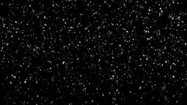 雪が降って、シームレスな単発背景映像 — ストック動画