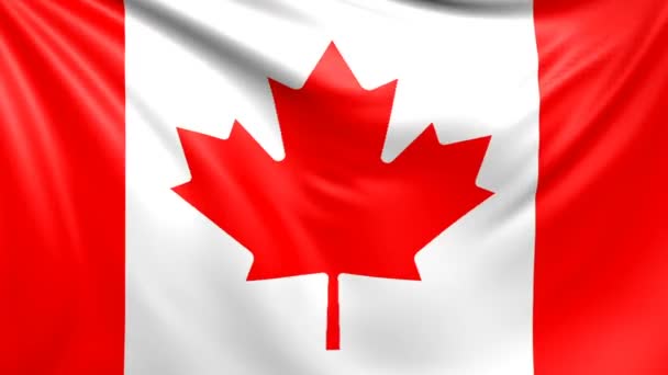 Bandeira do Canadá. Seamless looped vídeo, imagens — Vídeo de Stock