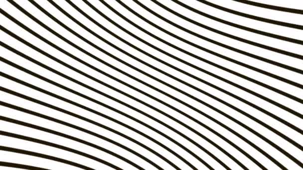 Illusion Optique Abstraite Ondes Rayées Modèle Mouvement Lignes Noires Blanches — Video