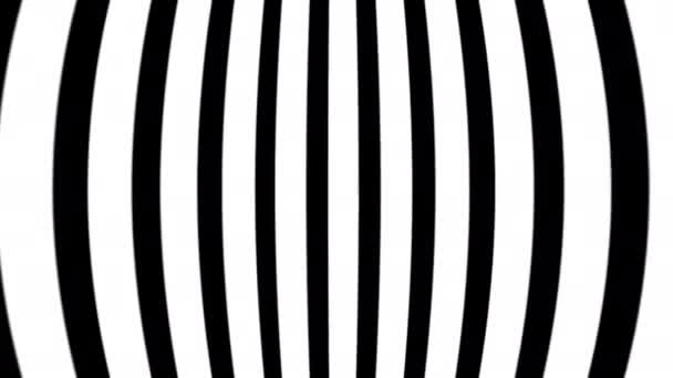 概要縞波光錯視を流れる 黒と白の線の動きパターン シームレスなループの背景 — ストック動画