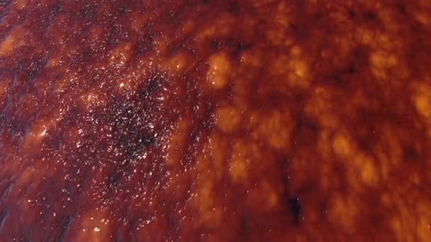 Abstrakter Organischer Feuchtschleim Biologischer Hintergrund Siedender Fleischmatsch Wie Bewegungskulisse — Stockvideo