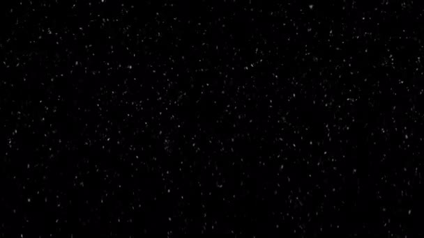 雪が降って 動きの背景映像 シームレスなループ — ストック動画