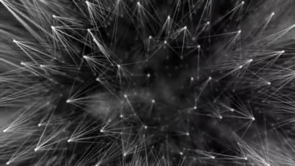 Smooth Flowing Technological Surface Dandelion Plexus Style Connecting Lines Dots — Stock Video