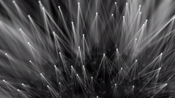 Гладкая Технологическая Поверхность Одуванчик Плексус Стиль Соединяющий Линии Точки Бесшовный — стоковое видео