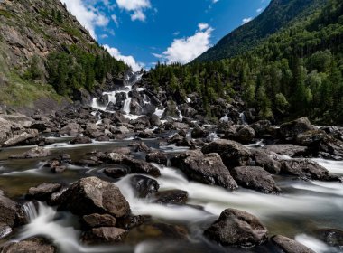 Altay Dağları'nın vahşi doğa
