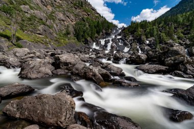 Altay Dağları'nın vahşi doğa