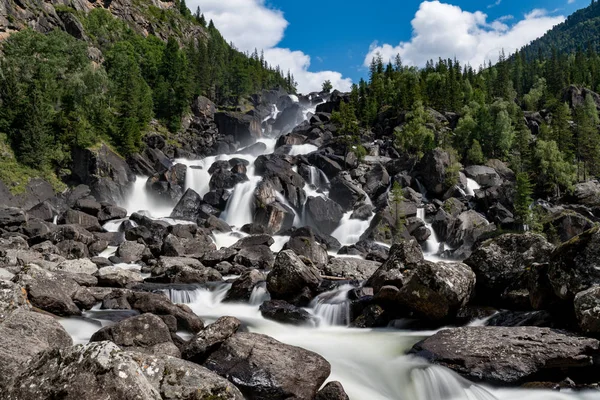 Altay Dağları'nın vahşi doğa