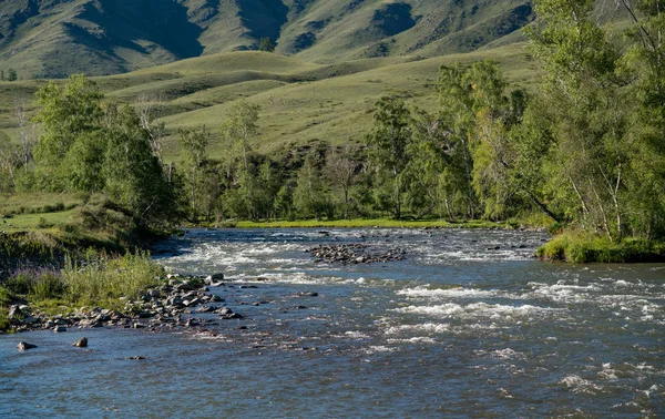 Altay Dağları doğası