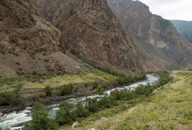 Altay Dağları doğası