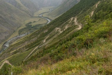 Altay Dağları doğası