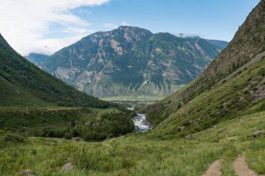 Altay Dağları doğası