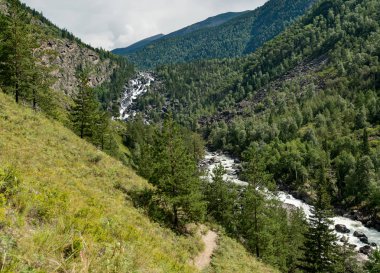 Altay Dağları doğası