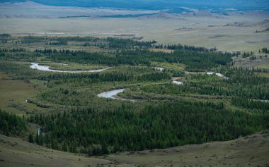 Altay Dağları doğası