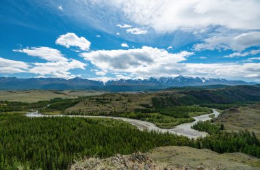 Altay Dağları doğası