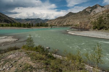 Altay Dağları doğası