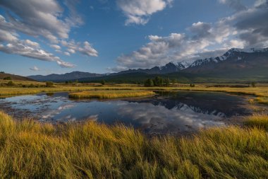 Altay Dağları doğası