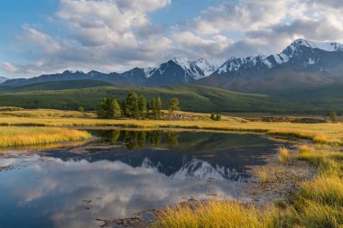 Altay Dağları doğası