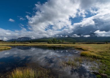Altay Dağları doğası