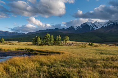 Altay Dağları doğası