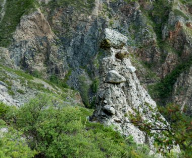 Altay Dağları doğası