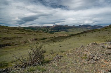 Altay Dağları doğası