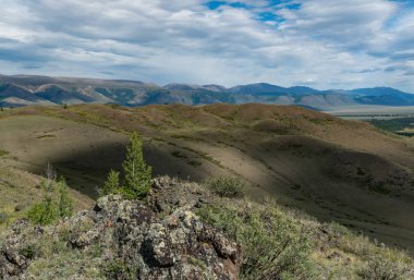 Altay Dağları doğası