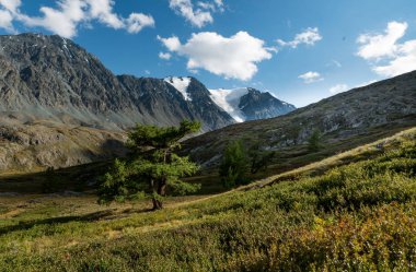 Altay Dağları doğası