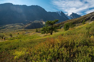 Altay Dağları doğası