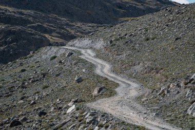 Altay Dağları doğası