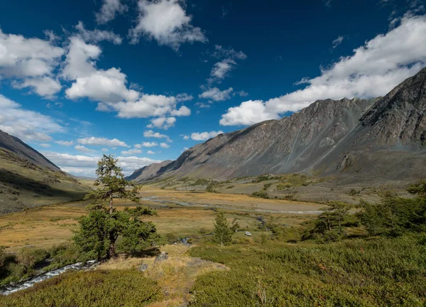 Naturen Altai Bergen — Stockfoto