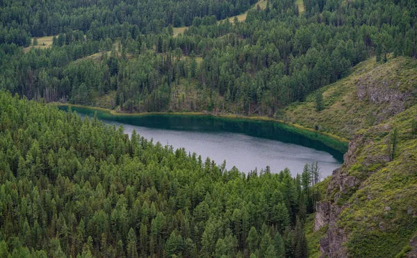 Naturaleza Las Montañas Altai —  Fotos de Stock