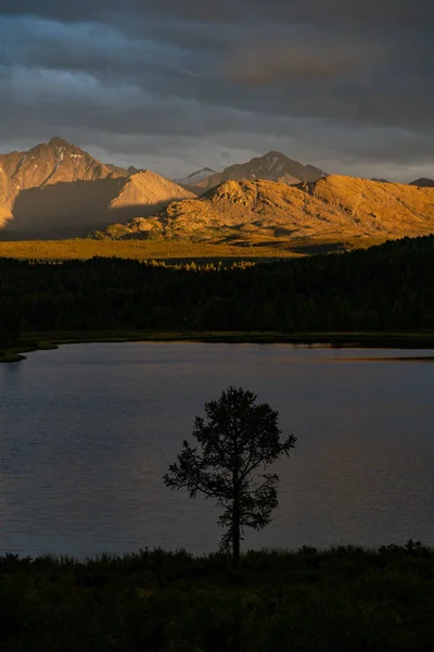 Altay Dağları doğası