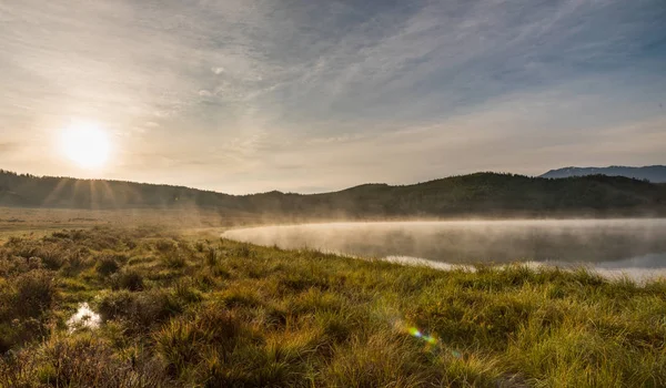 Natura Dei Monti Altai — Foto Stock