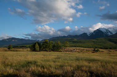 Altay Dağları doğası