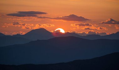 Altay Dağları'nın vahşi doğa