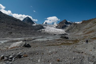 Altay Dağları'nın vahşi doğa