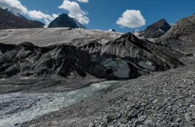 Altay Dağları'nın vahşi doğa