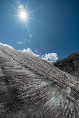 Altay Dağları'nın vahşi doğa