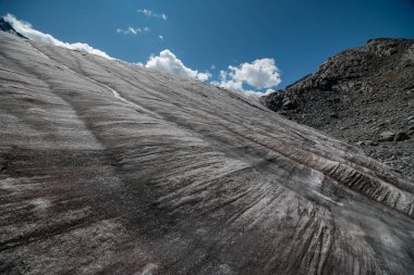 Altay Dağları'nın vahşi doğa