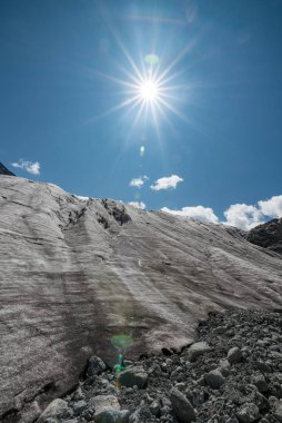 Altay Dağları'nın vahşi doğa