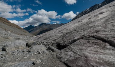 Altay Dağları'nın vahşi doğa