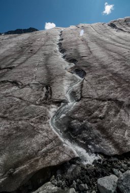 Altay Dağları'nın vahşi doğa