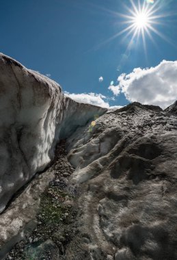 Altay Dağları'nın vahşi doğa