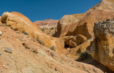 Altay Dağları'nın vahşi doğa